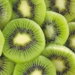kiwi portalfruticola