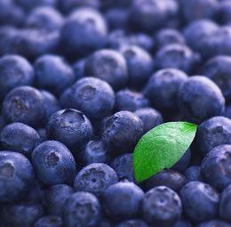 shutterstock 81319873