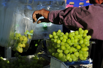 cosecha uvas PF
