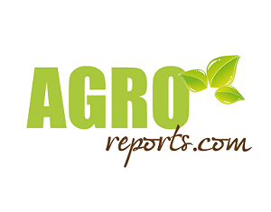 AGROREPORTS3