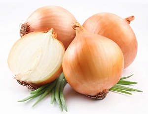 cebolla portalfruticola
