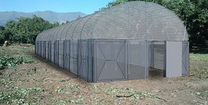 Crean invernadero inteligente para recuperar y almacenar agua 3 fotomontaje_invernadero_inteligente