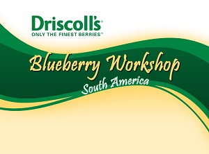 Logo seminario