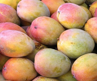 mango_Portalfruticola