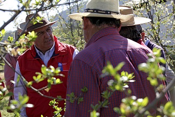 Fotografía: Ministro de Agricultura, Luis Mayol, junto al Intendente de la Región Metropolitana, Juan Antonio Peribonio y al Senador, Hernán Larraín, visitan predios de pequeños y medianos productores de la Región Metropolitana para constatar en terreno daños ocasionados por las heladas y difundir medidas de apoyo a los agricultores afectados. Claudio Aguilera O/MINAGRI