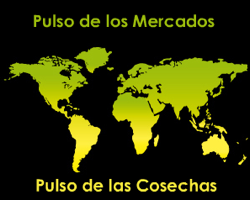 Pulso de los Mercados (Semana 42 - 2013) 6 PULSO IQONSULTING