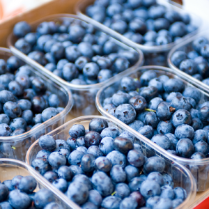 blueberry-cartons portalfruticola