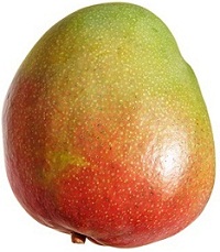 Fotografía: Shutterstock.com