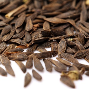 Guía de la FAO establece normas para los bancos de genes de plantas 3 Fotografía: Shutterstock.com