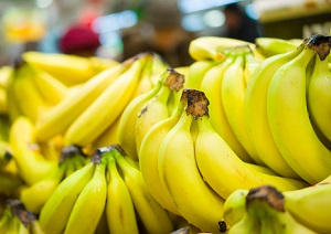 Ecuador trabaja para hacer frente a la Fusariosis del Banano 3 Fotografía: Shutterstock.com