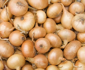 Argentina y el mercado de la cebolla 3 Fotografía: Shutterstock.com