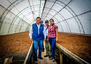 Cacao en secador solar