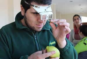 Encargados de packing y áreas de control de calidad de las exportadoras conocieron los pasos para un correcto diagnóstico y monitoreo de plagas en los frutos