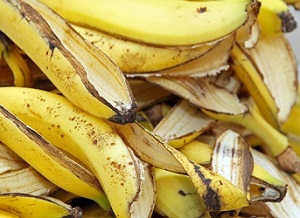 Foto: Shutterstock.com