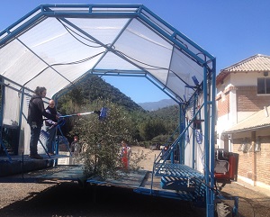 Fotografía gentileza FIA