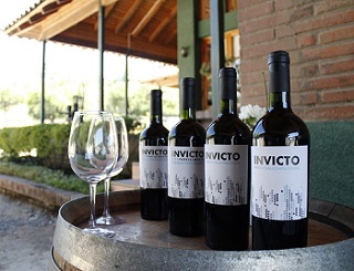 Vino1
