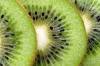 El negocio del kiwi en Chile se ve auspicioso a pesar de la presencia de Psa 3 Archivo/Shutterstock.com