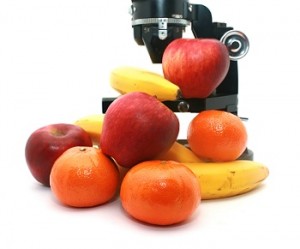 Foto Shutterstock.com