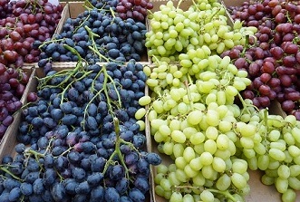 Uvas / Shutterstock.com