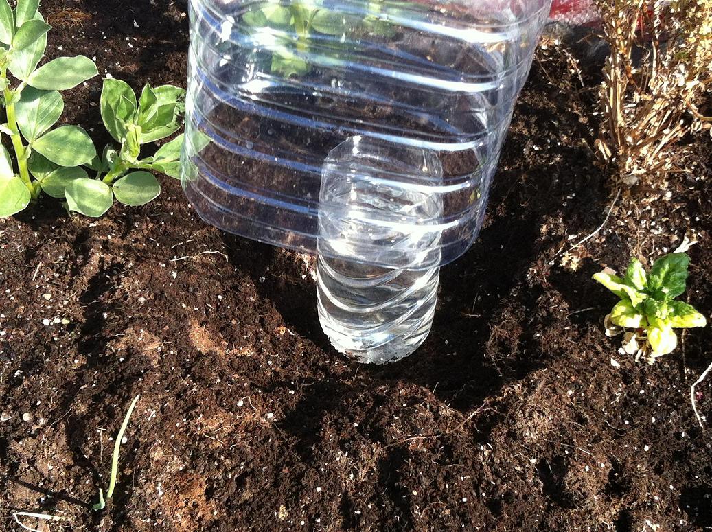 Riego Solar Por Goteo Con Botellas Recicladas De Plástico