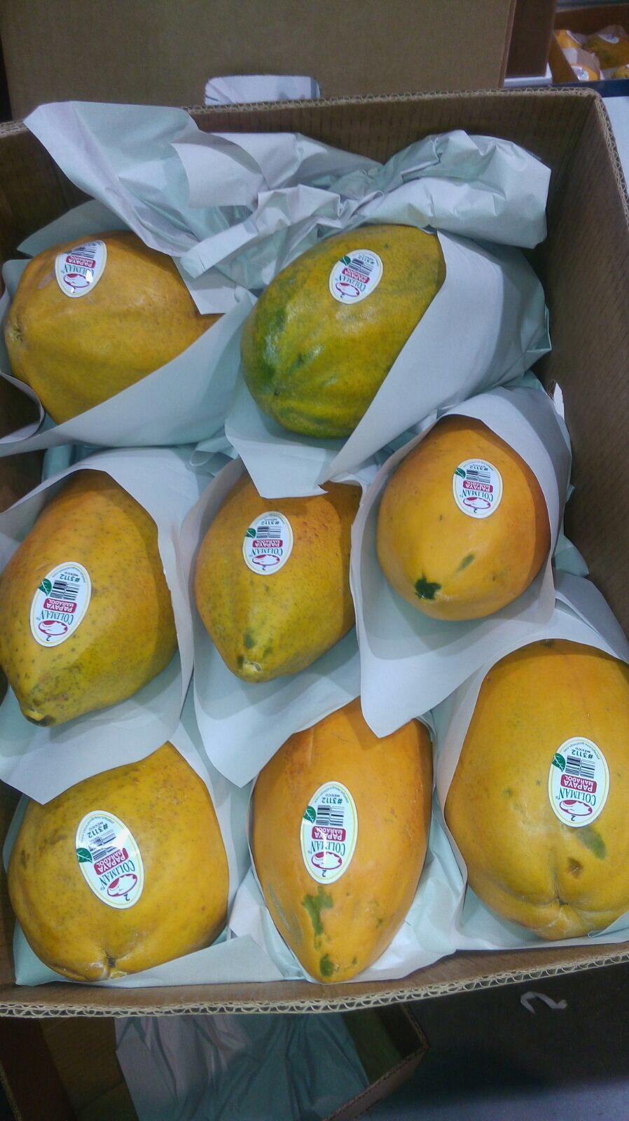 Las papayas de México se encuentran en búsqueda de mejores variedades