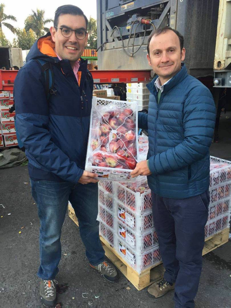 Nectarines chilenos llegan a China con precios similares a las cerezas