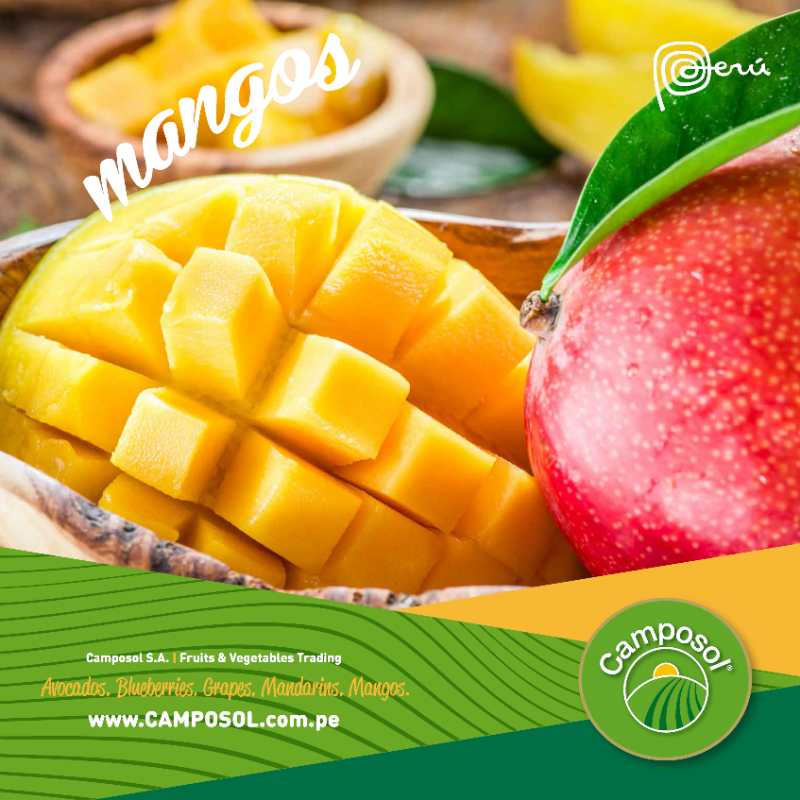 Dole y Camposol llevan la dulzura de los "Peruvian Flame Mangos" al