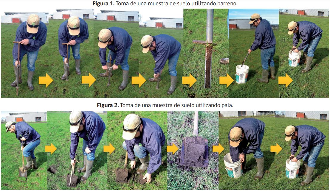 Consejos para obtener muestras de suelo - PortalFruticola.com
