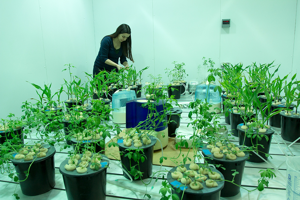 Stormfeder Bio Lab