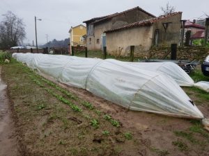 Como hacer un microtĂșnel para cultivar en invierno - PortalFruticola.com