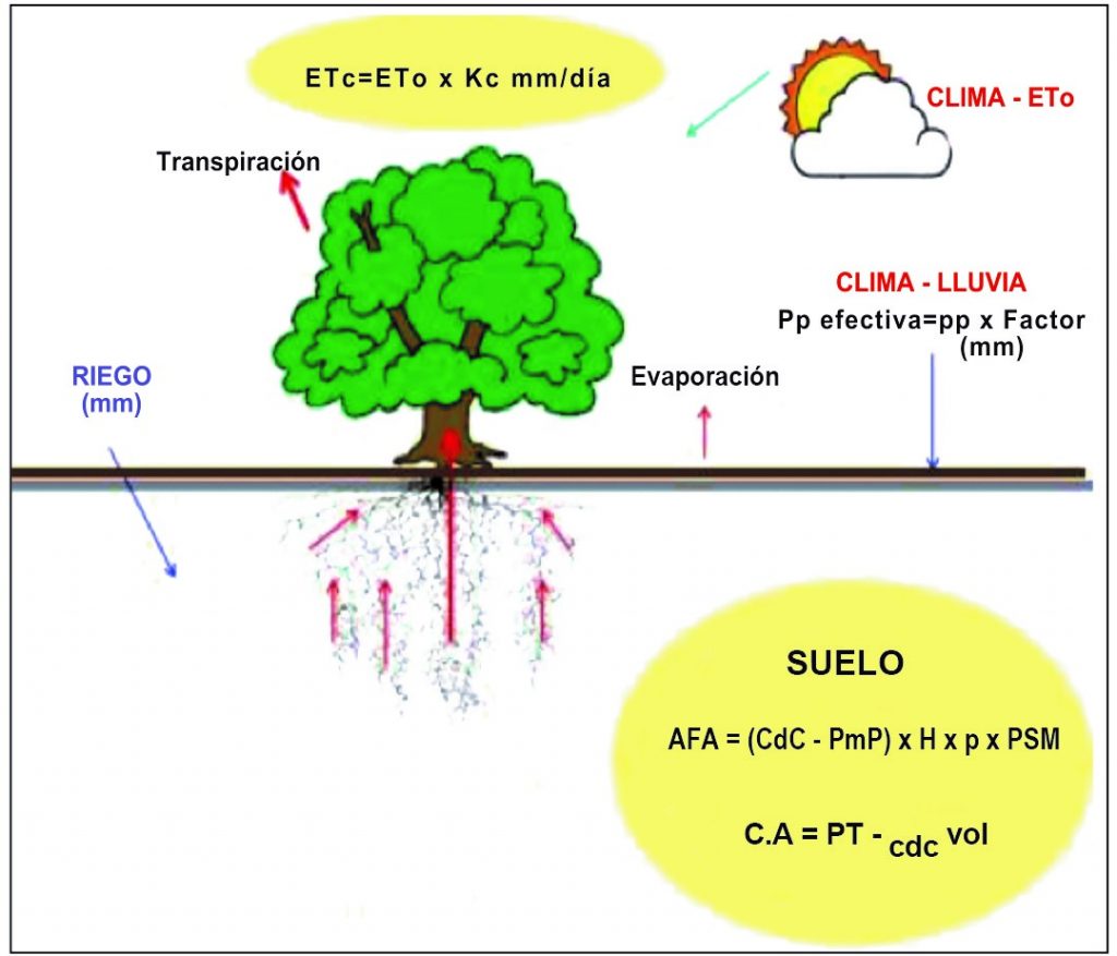 Programa De Riego Programación y control del riego basado en la lectura de sensores ...