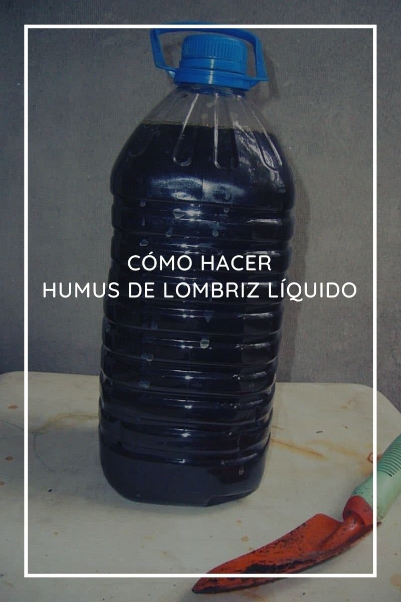 Humus de lombriz, cómo prepararlo paso a paso