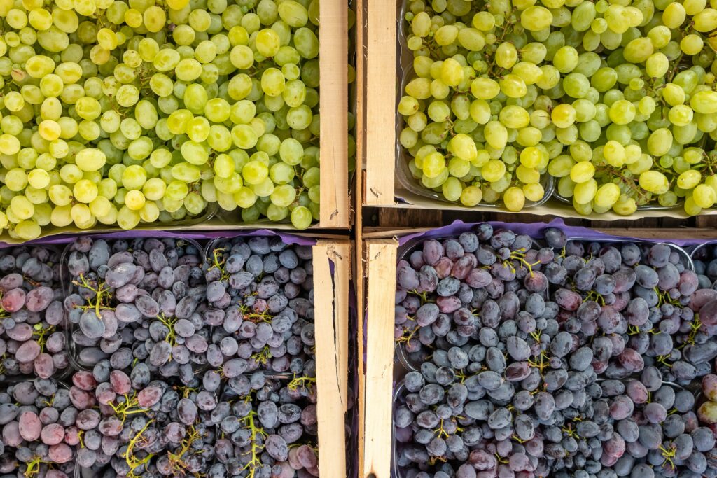 Estados Unidos: Almacenamiento de uvas de mesa siguen cayendo Estados Unidos: Almacenamiento de uvas de mesa siguen cayendo