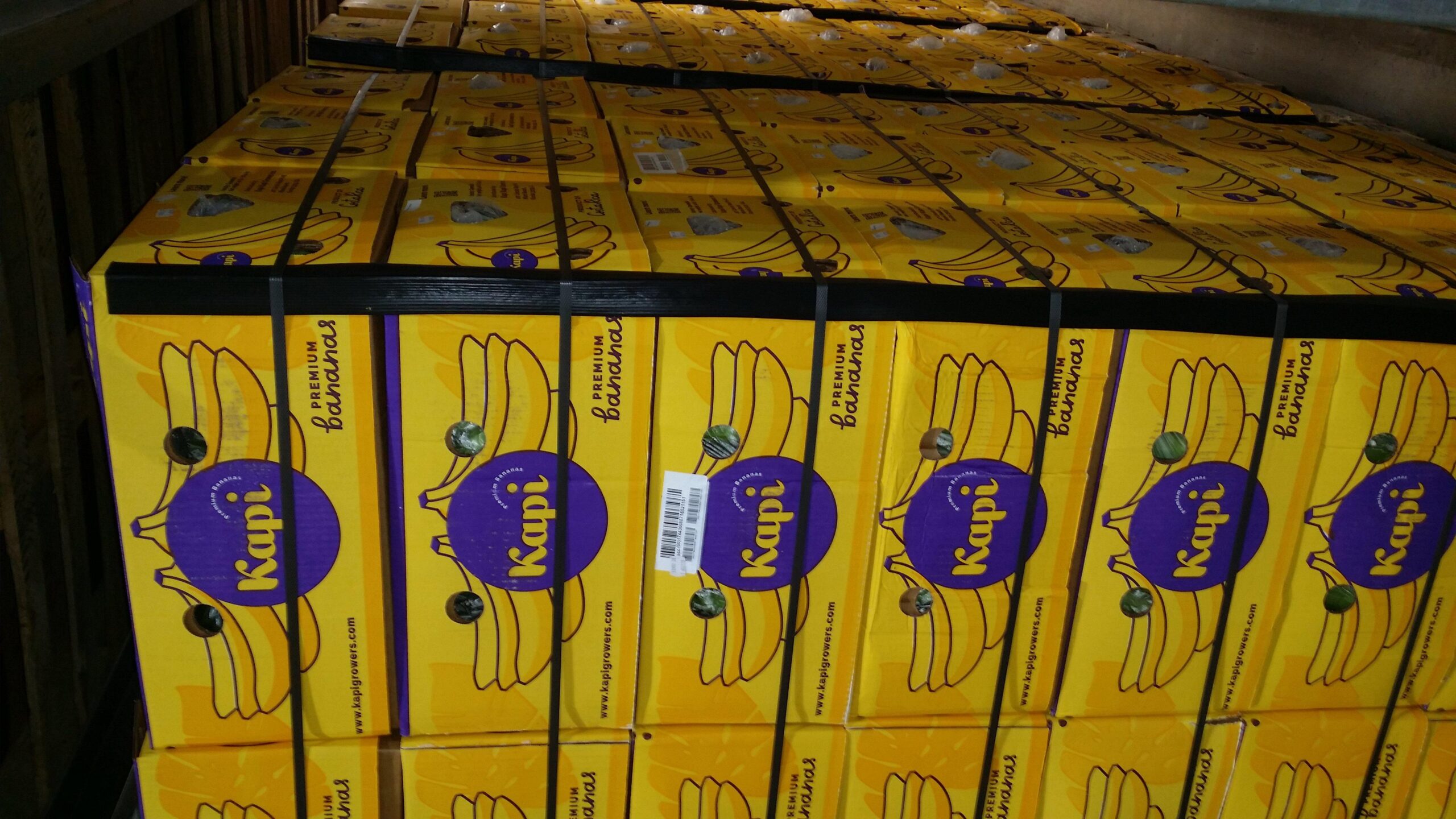 Kapi Kapi Growers se expande en Estados Unidos con sus plátanos y piñas