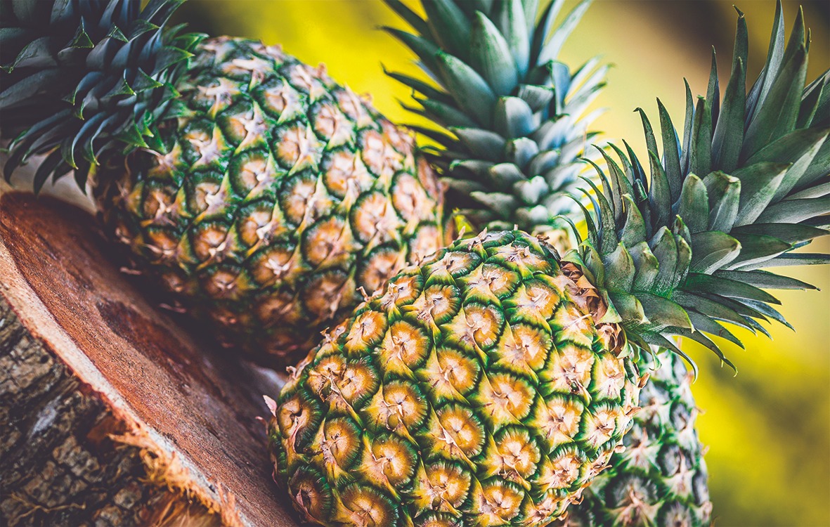 Piña colombiana ha disminuido drásticamente sus exportaciones