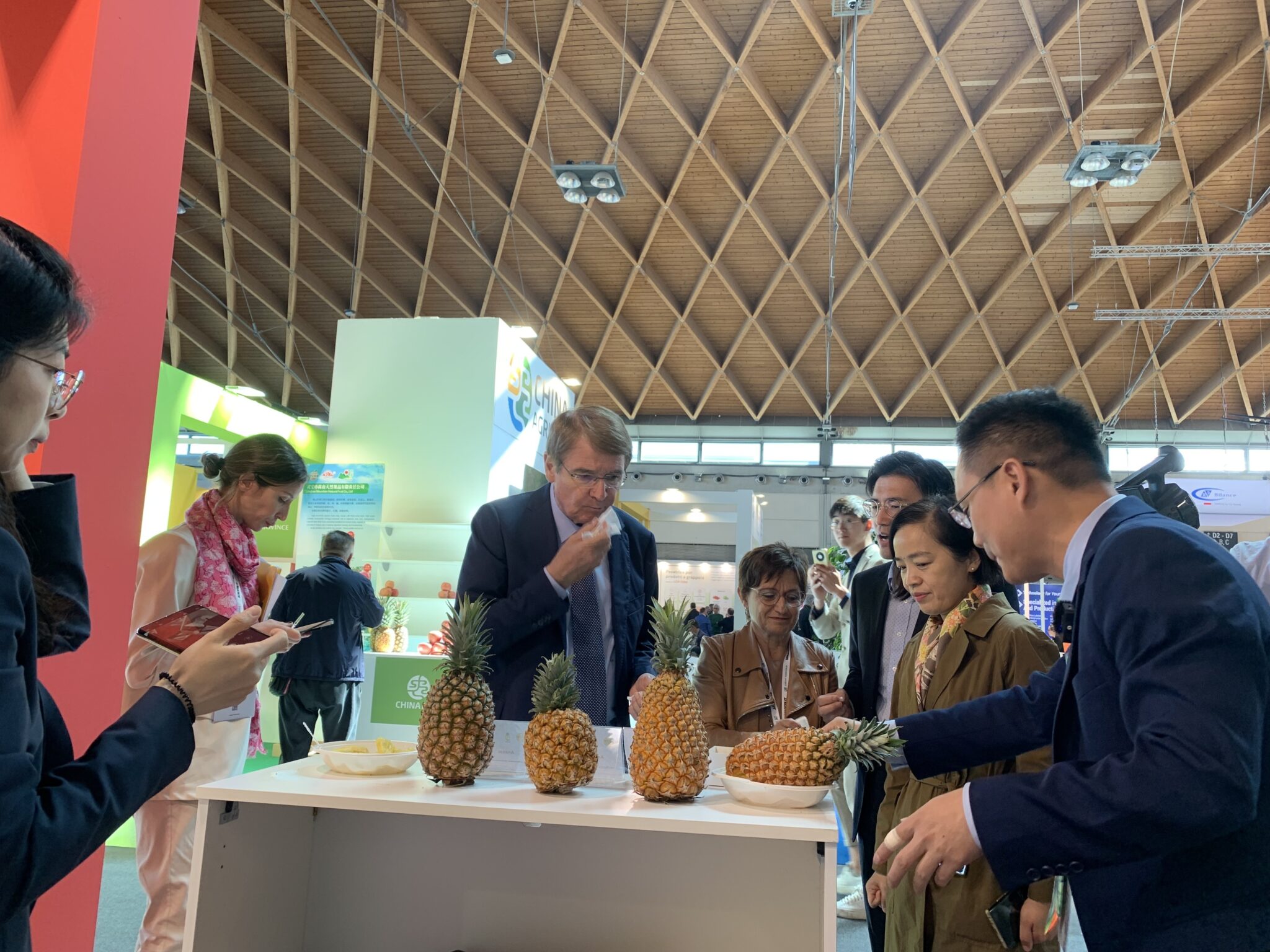 Nuevas variedades de piña de China