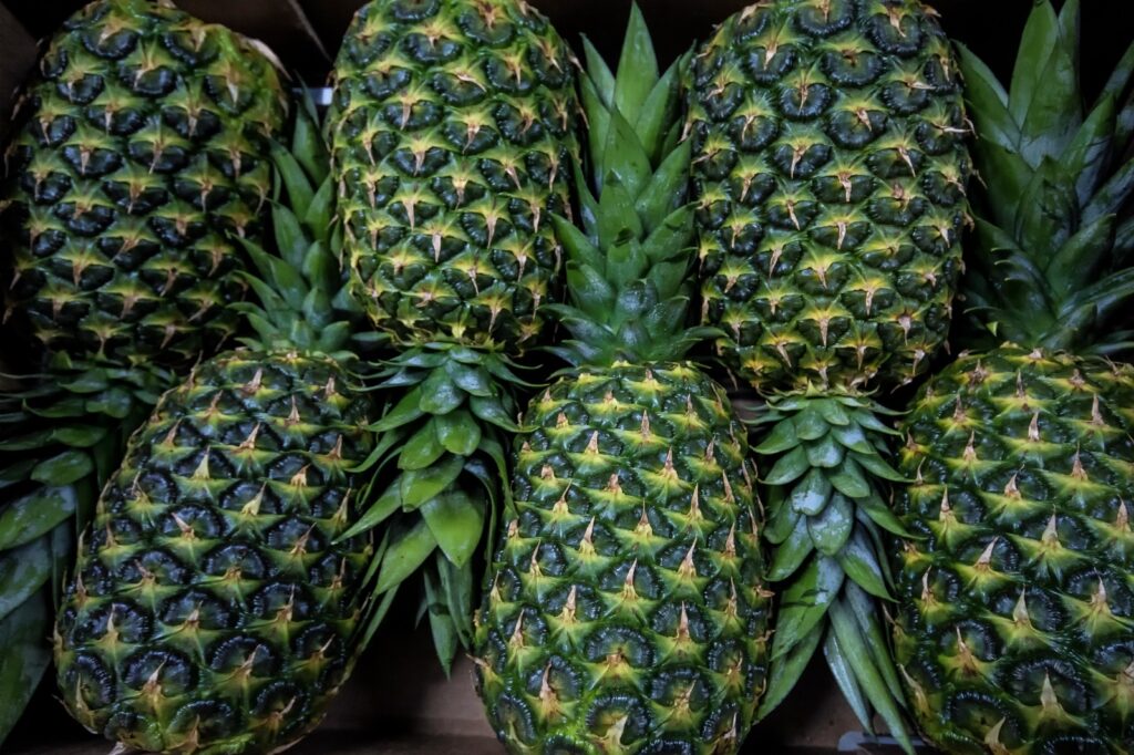 Costa Rica: Industria de la piña participa en guía de la huella de ...