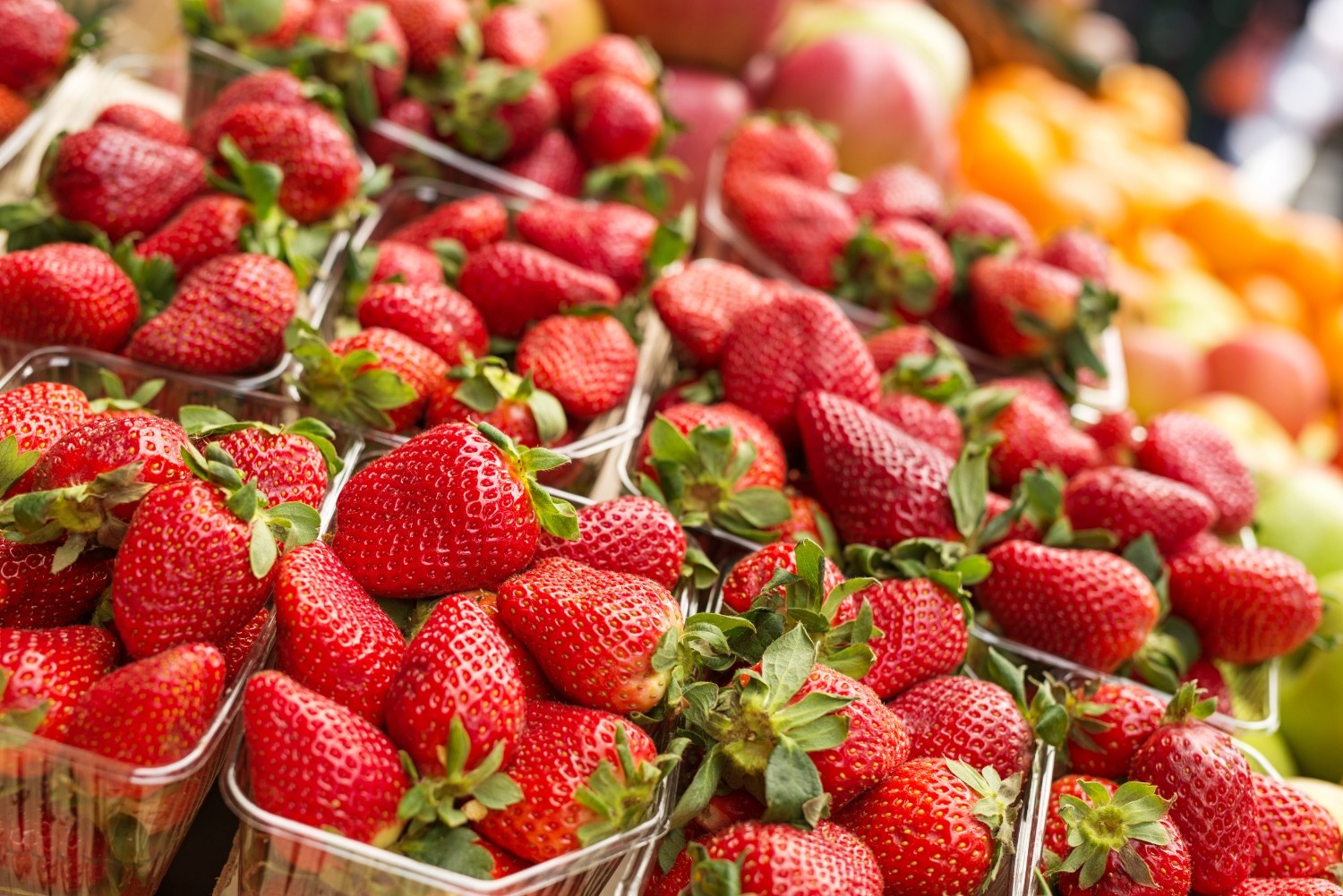 Consumo de fresas en Europa mantuvo su tendencia al alza por cuarto año consecutivo