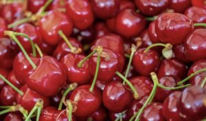 STI cierra exitosa temporada de cerezas con un aumento del 30% en las ...