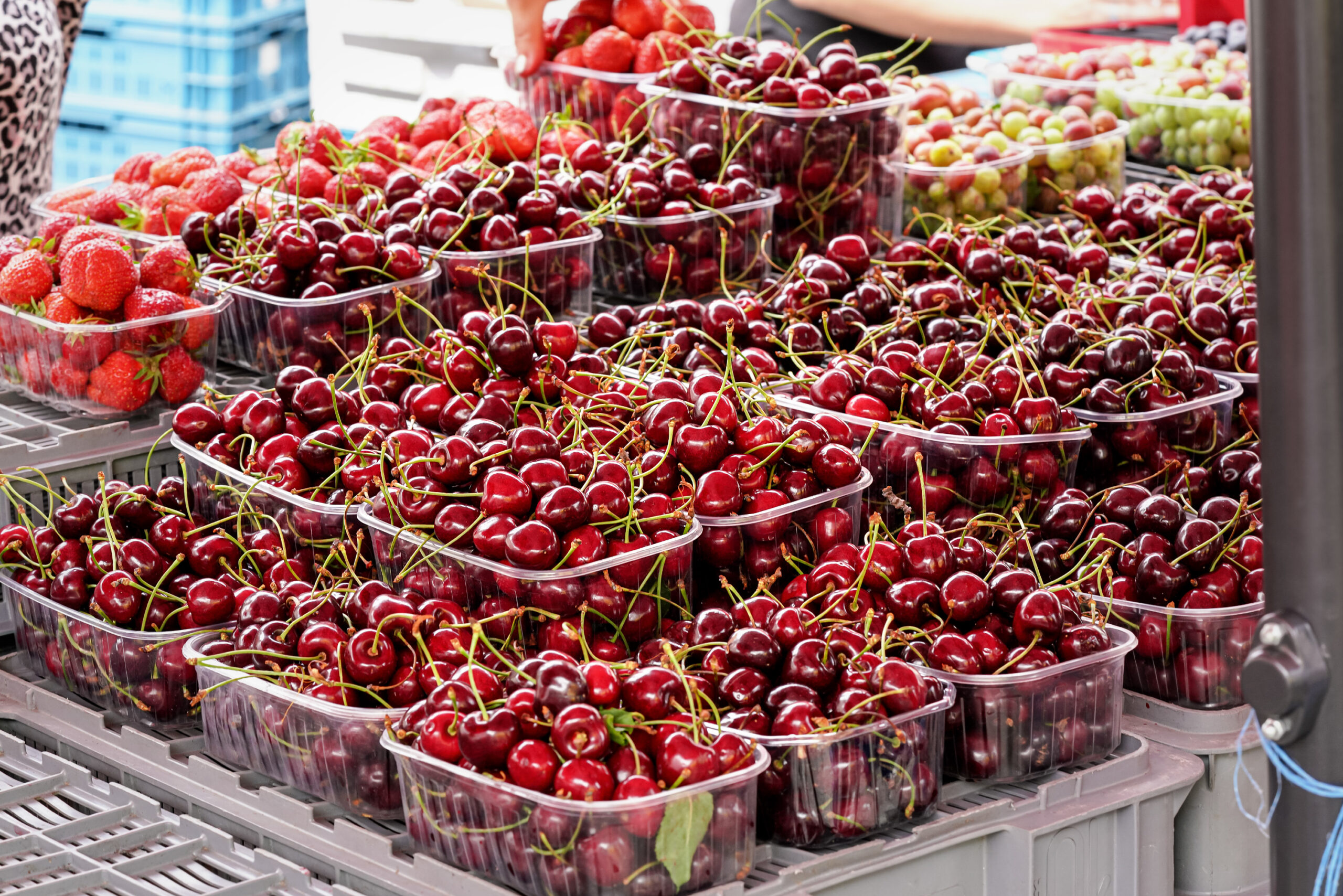 Industria chilena de cerezas proyecta fin de temporada con un punto de inflexión en China 6 Cerezas chilenas en China.