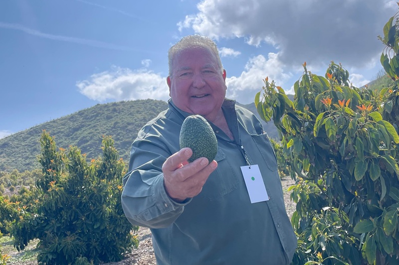 Aguacate: Maureen Lamb, la sucesora de Camlam Farms en California