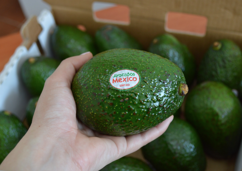 APEAM aclara que el estado mexicano de Nayarit no tiene autorización para exportar aguacate a EE.UU.