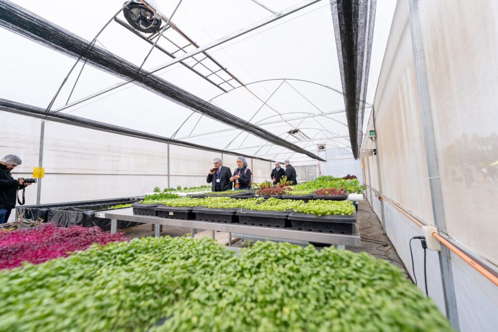 PortalFrut cola L der En Noticias De La Industria De Frutas Y Verduras