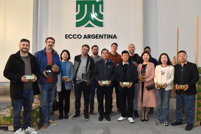 Delegación de China visita planta de kiwi en Miramar, Argentina 3 Delegación de China visita planta de kiwi en Miramar, Argentina