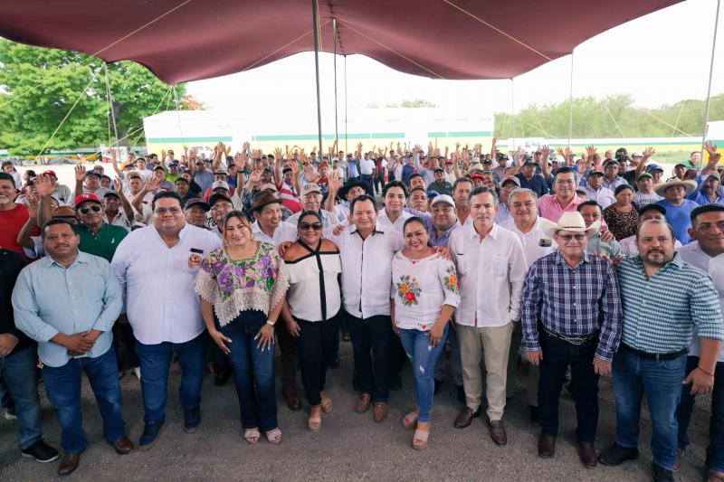 México: Yucatán se consolida como referente en la producción de limón persa