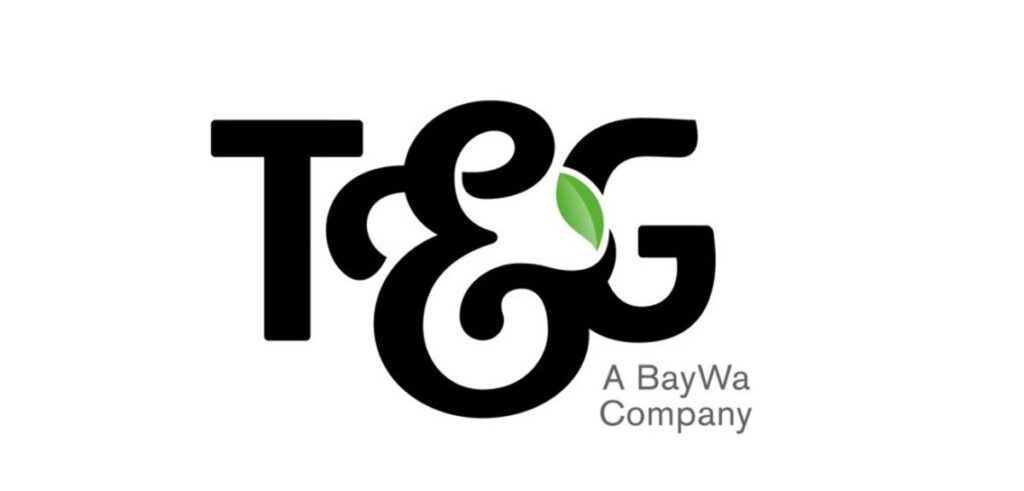 T&G Global evalúa posible venta de la compañía