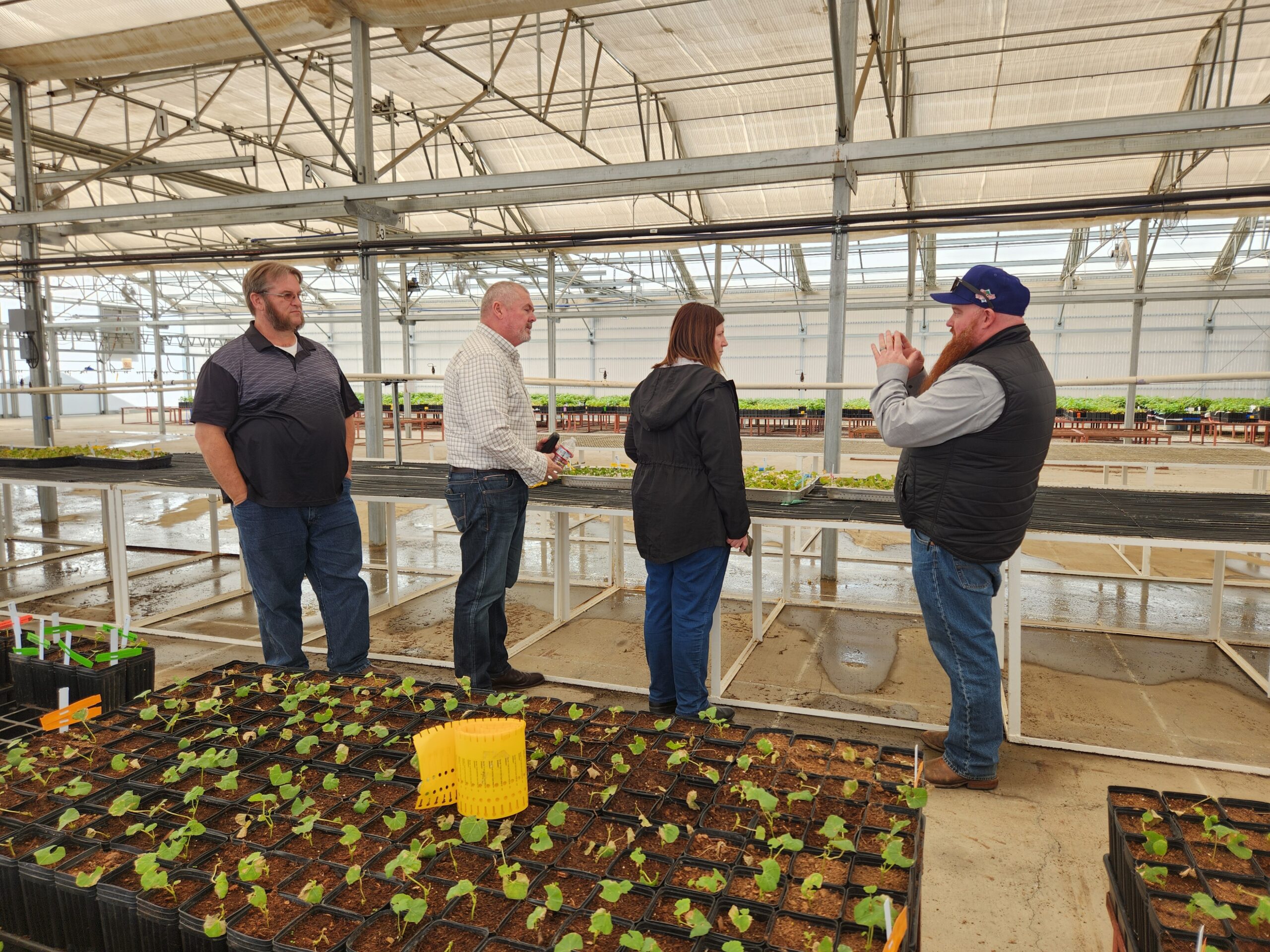 Sunridge Nurseries: una nueva colaboración para potenciar nuestro creciente programa de uva de mesa
