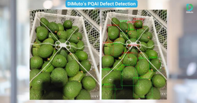 DiMuto marca hito al enviar paltas peruanas verificadas con inteligencia artificial a China