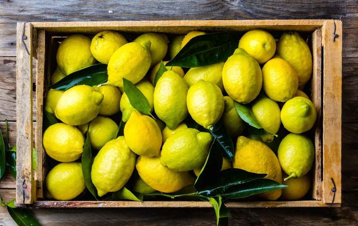Producción de limón en Murcia podría reducirse hasta 45% esta campaña 3 Producción de limón en Murcia podría reducirse hasta 45% esta campaña