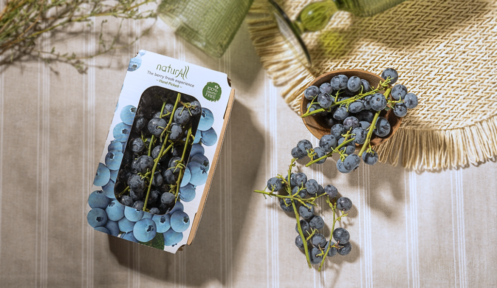 Hortifrut lanza naturAll, el primer arándano en rama comercializado en Europa